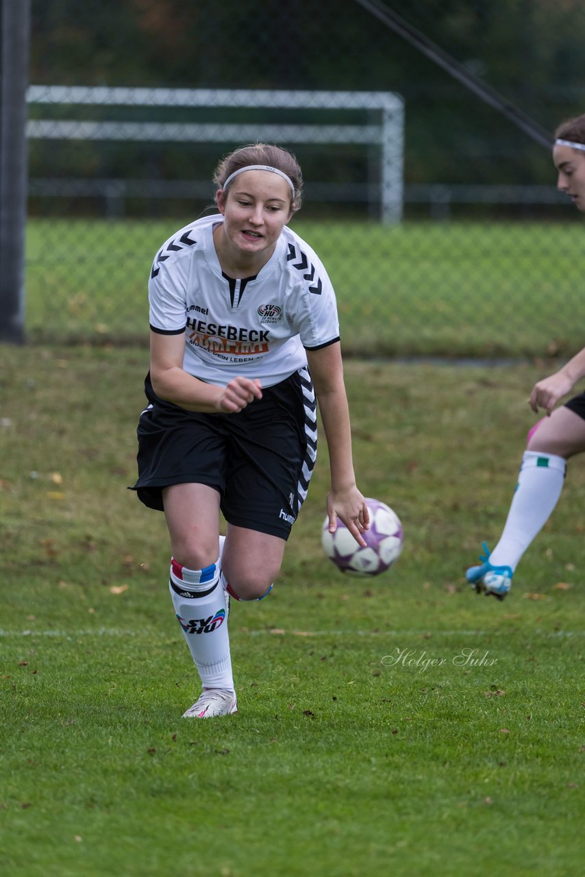 Bild 109 - B-Juniorinnen SV Henstedt Ulzburg - Hamburger SV : Ergebnis: 2:3